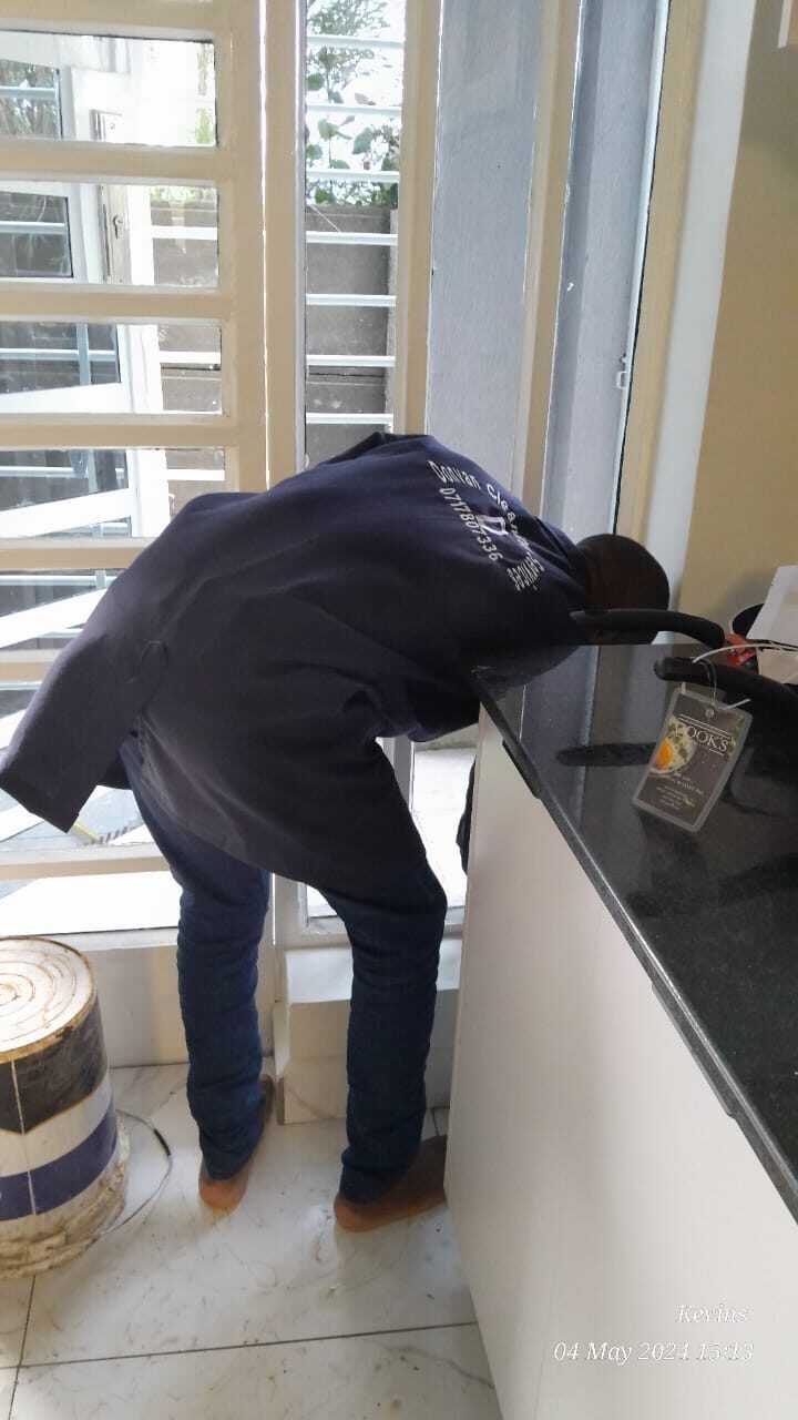 Interior car cleaning: seats, dashboard and carpets detailed